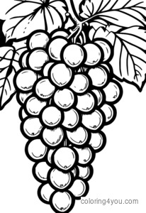 dibujo para colorear uvas mixtas