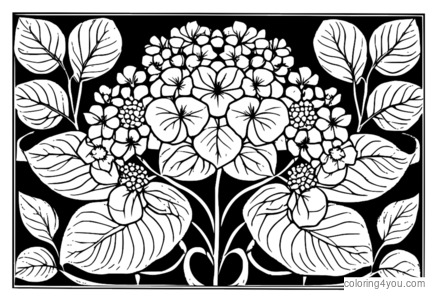 Page de coloriage de motif floral d'hortensia avec des fleurs bleues et des cadres ornés dans un jardin.