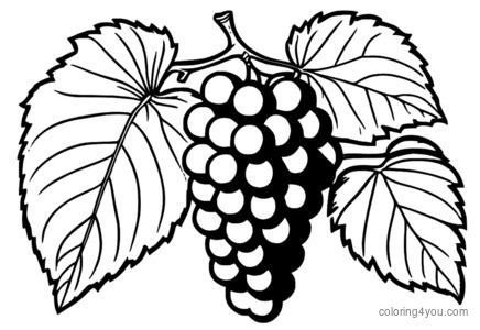 Dibujo para colorear uvas rojas grandes y jugosas.