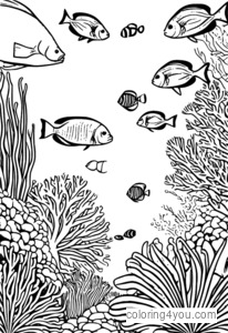 Coloriages sur la biodiversité marine des récifs coralliens