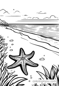 Starfish on Beach, warna dan Main