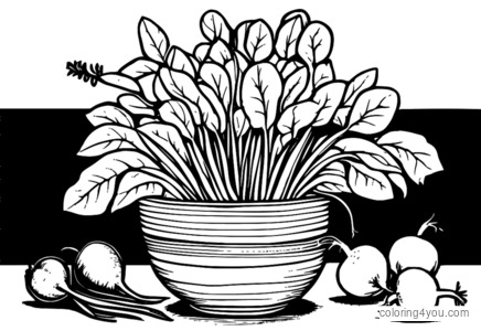 Coloring page of a bouquet of radishes