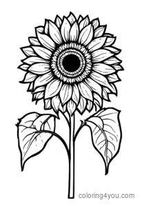 Pagine da colorare di girasoli a tema campeggio con design rustico e petali radianti, ideali per far colorare e imparare i bambini.