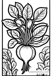 Coloring page of a bouquet of radishes