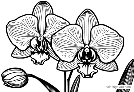 Orchid designs