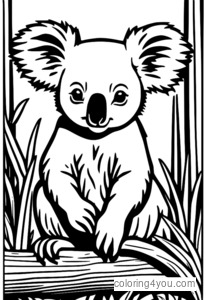 Koala loom, kes kasutab maagaasitoru ületamiseks torujuhtme eluslooduse koridori.