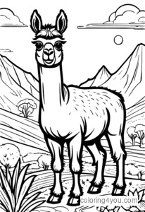 Llama në një stil të bukur ilustrimi