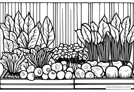 Coloring page of a garden with beets and radishes