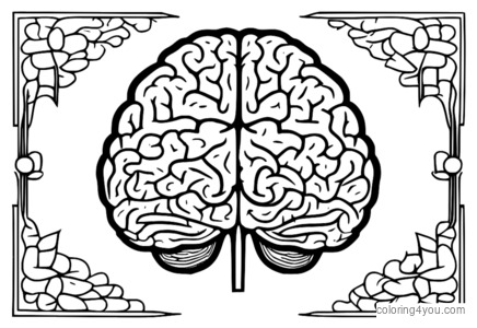 Voies neuronales cérébrales avec parties étiquetées à colorier