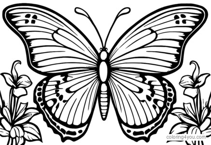 Coloriage Ailes de papillon avec parties étiquetées