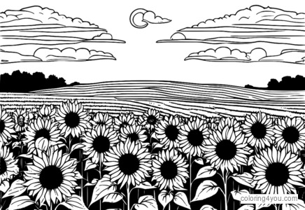 Coloriage de Champ de tournesols avec des tournesols en fleurs