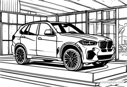 Interni della BMW X5 con passeggeri