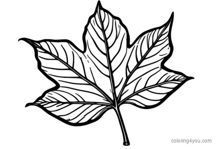 Kids Coloring Page - Beech Leaf