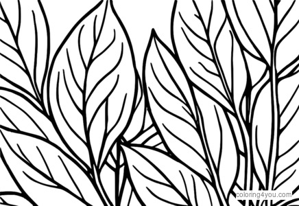 Coloring pages of Eucalyptus leaves