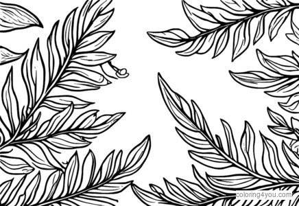 Juniper leaves coloring pages