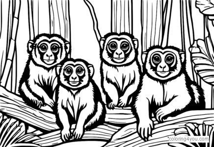 Grupp ta' marmosets fil-ġungla