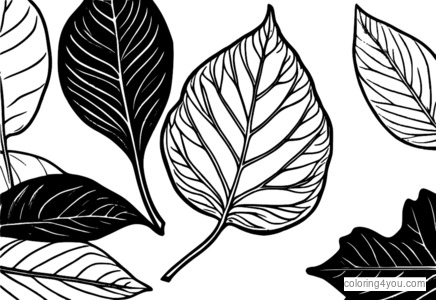 Ash leaf with stem and fall foliage - coloring page