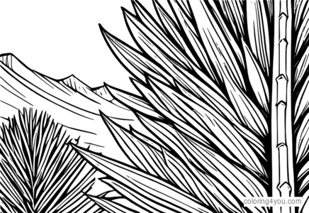 Coloring page of a single pine needle