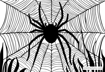 Coloring pages of spider web at sunset