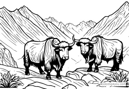 pahina ng pangkulay ng isang pangkat ng mga mapaglarong yaks sa Himalayas